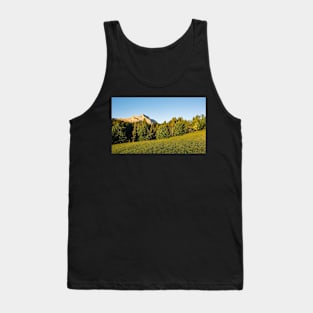 Monte Bivera in Friuli, North Italy Tank Top